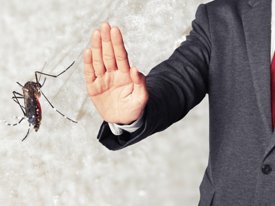 About Alexander Organic Pest Control - organic pest control experts in Alexander